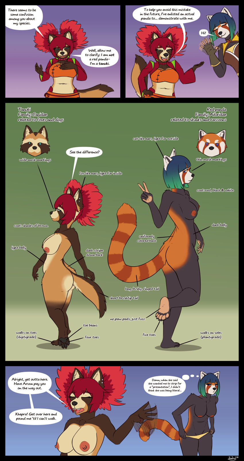 2023 absurd_res ailurid anthro blue_hair breasts butt canid canine choker clothed clothing comic diagram dialogue digital_media_(artwork) duo female gesture hair hi_res jewelry looking_at_viewer mammal markings necklace nipples nude pawpads paws raccoon_dog ragnith_(zendrid) red_hair red_panda ring_(marking) ringtail short_stack simple_background smile speech_bubble tail tail_markings tanuki text topwear v_sign zendrid