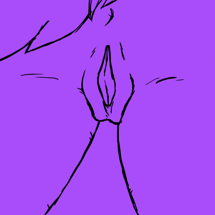 1:1 5_fingers animated anthro anus blender_(software) egg egg_from_pussy egg_insertion female fingers fur fuzzled genitals loop mammal oviposition pussy sex sex_toy simple_background sketch solo_focus tail toying_partner