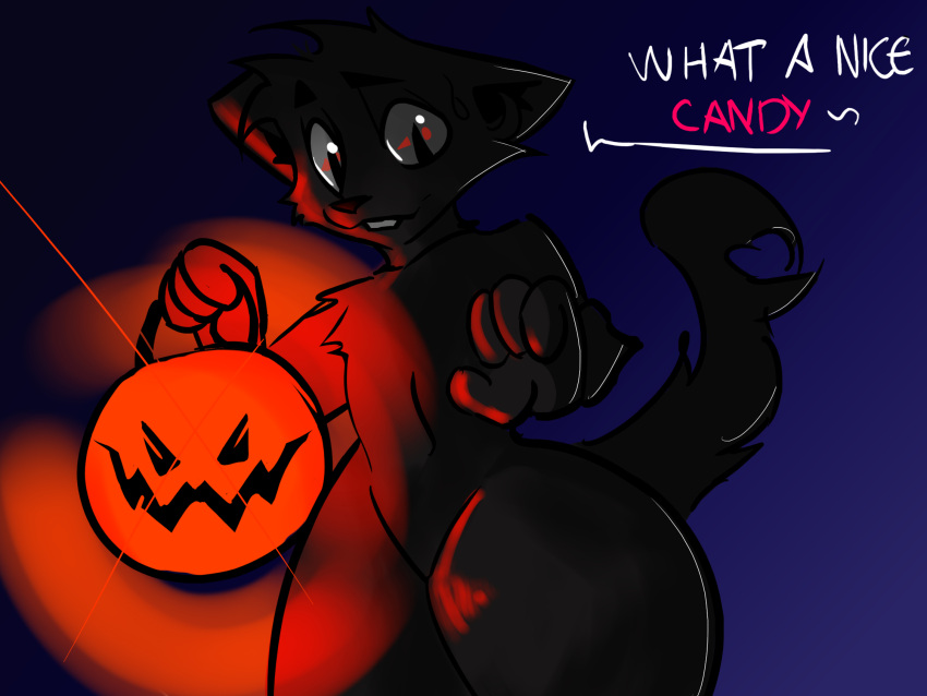 anthro black_body black_fur candy canid canine canis dessert domestic_cat domestic_dog felid feline felis femboychaton food fruit fur halloween hi_res holidays hybrid male mammal plant pumpkin solo