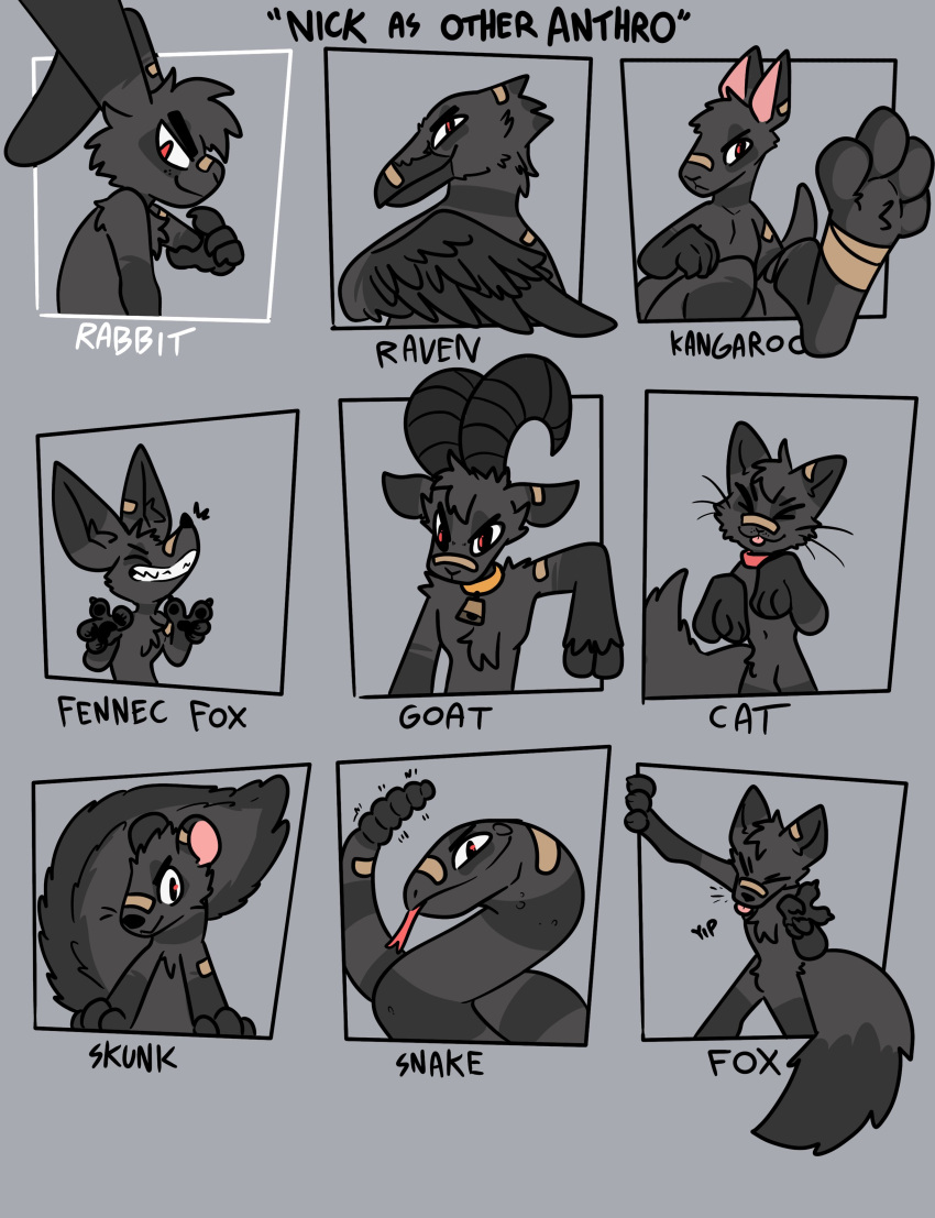 4_toes absurd_res anthro avian band-aid band-aid_on_face band-aid_on_nose bandage bell bell_collar bird black_body black_feathers black_fur black_pawpads blep bovid canid canine caprine cheek_tuft chest_tuft collar corvid corvus_(genus) cowbell curved_horn domestic_cat eyes_closed facial_tuft feathers feet felid feline felis fennec fluffy fluffy_tail forked_tongue fox fur gesture goat grey_background grey_body grey_feathers grey_fur grin hi_res horn kangaroo lagomorph leporid macropod male mammal marsupial mephitid oscine passerine pawpads paws pit_viper rabbit rattle_(anatomy) rattlesnake raven reptile scalie simple_background skunk smile smirk smug smug_face snake solo tail the_xing1 toes tongue tongue_out tuft v_sign viper