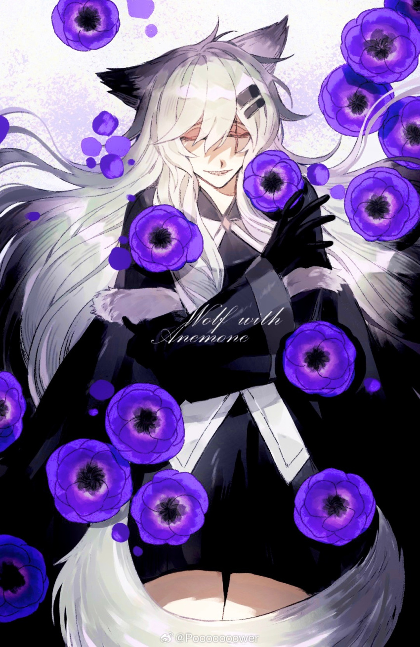 1girl ahoge anemone_(flower) animal_ear_fluff animal_ears arknights artist_name bare_legs black_coat black_dress black_gloves blooming breasts chinese_commentary closed_eyes coat collared_coat commentary_request cowboy_shot cursive dress english_commentary english_text eyelashes facing_viewer falling_flower falling_petals floating_hair flower fur-trimmed_coat fur-trimmed_sleeves fur_trim furrowed_brow gloves grey_hair grey_tail hair_between_eyes hair_flowing_over hair_ornament hairclip hands_up highres lappland_(arknights) lappland_(refined_horrormare)_(arknights) layered_sleeves lips long_bangs long_hair long_sleeves medium_breasts messy_hair mixed-language_commentary official_alternate_costume outstretched_hand pale_skin parted_lips petals pooooooower purple_background purple_flower purple_petals scar scar_across_eye scar_on_face self_hug shadow sharp_teeth short_dress short_over_long_sleeves short_sleeves smile solo standing tail teeth two-tone_background variant_set very_long_hair vest watermark weibo_logo weibo_username white_background white_vest wide_sleeves wolf_ears wolf_girl wolf_tail