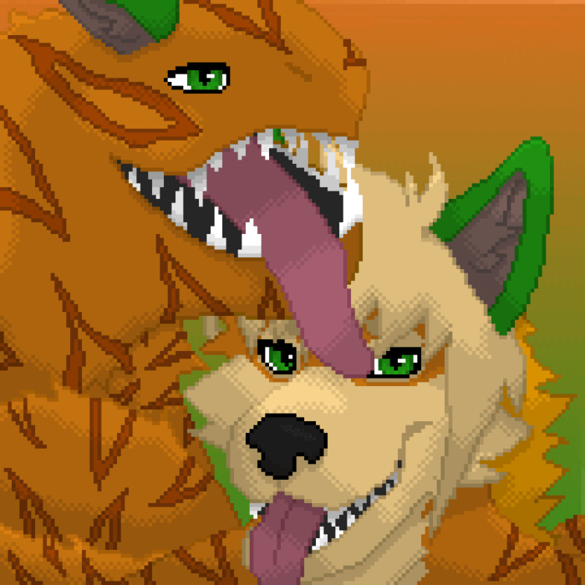 1:1 alsander ambiguous_gender animated anthro black_inner_ear black_inner_ear_fluff black_mouth black_nose blonde_hair ciaran_(tailmaw) digital_media_(artwork) duo eye_markings felngo felnid fur gradient_background green_ears hair hi_res inner_ear_fluff leck living_tail male_(lore) mammal markings multicolored_body multicolored_fur multicolored_hair open_mouth orange_hair pink_tongue pixel_(artwork) short_playtime simple_background solo tail tail_markings teeth tongue tuft two_tone_body two_tone_fur two_tone_hair unusual_anatomy unusual_tail watermark