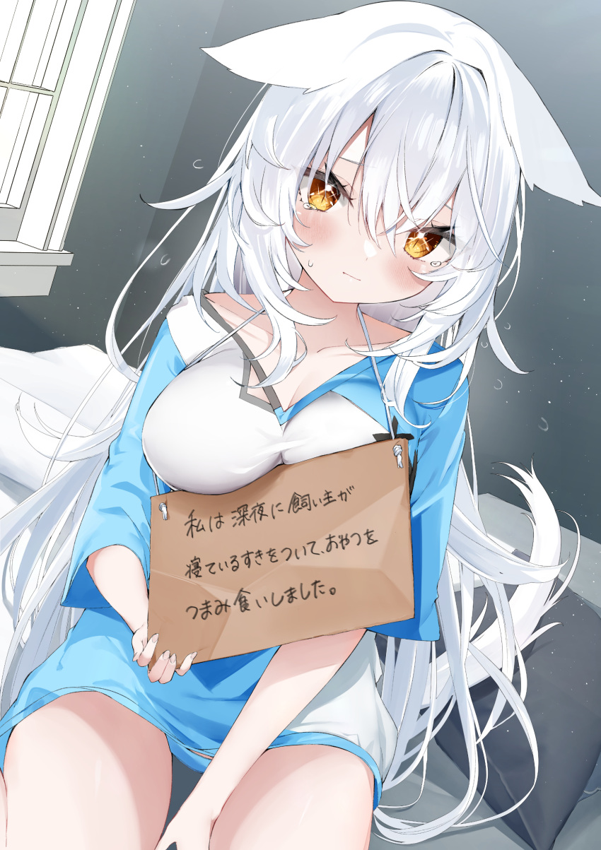 1girl absurdres animal_ears blue_shirt breasts brown_eyes cat_ears cat_girl cat_tail cleavage closed_mouth commentary_request hair_between_eyes highres indoors kamioka_shun'ya large_breasts long_hair long_sleeves looking_at_viewer original pet_shaming pillow shirt sign sign_around_neck sitting solo sweat tail very_long_hair white_hair window
