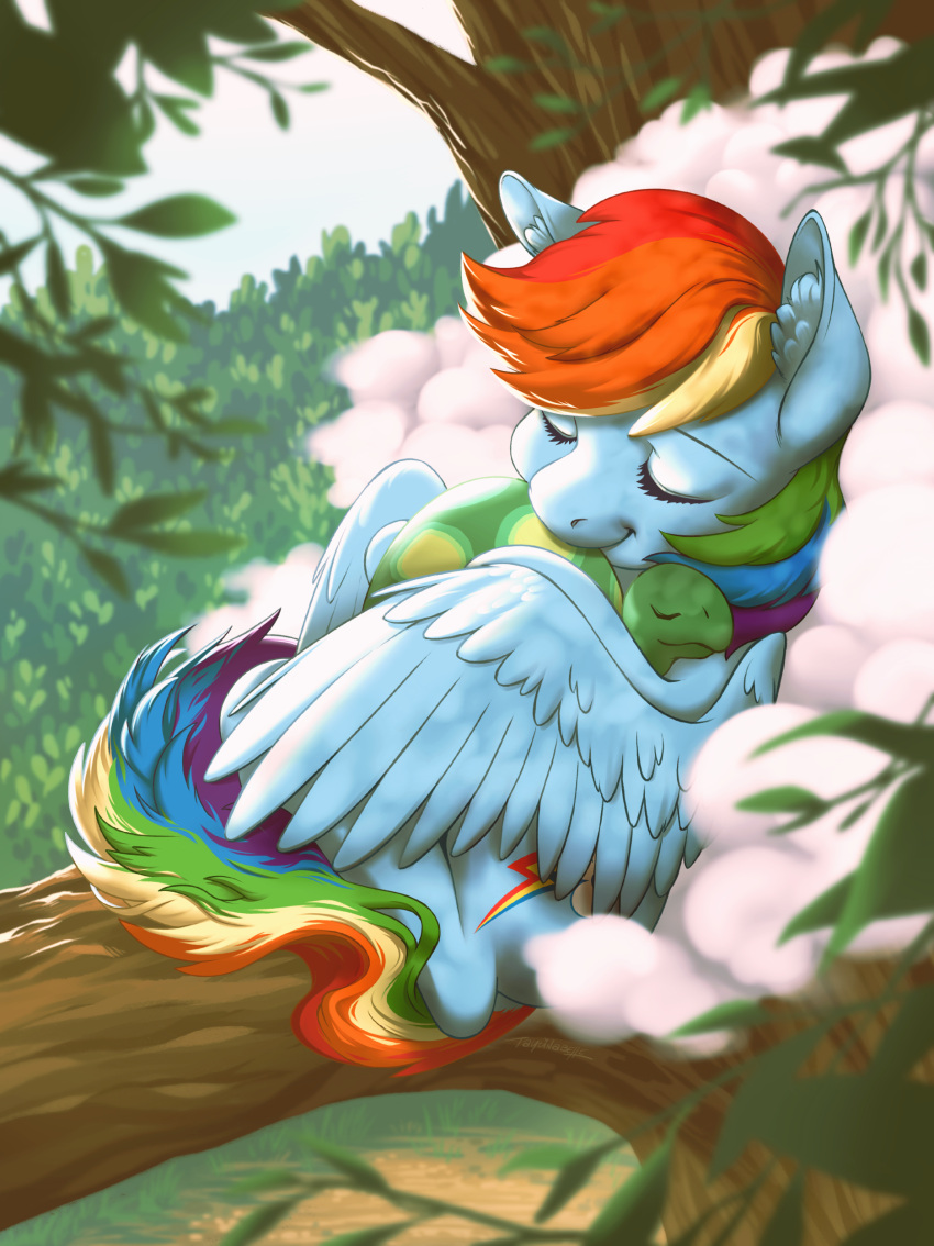 absurd_res blue_body blue_feathers blue_fur cutie_mark digital_media_(artwork) embrace equid equine eyelashes eyes_closed feathered_wings feathers female feral friendship_is_magic fur green_body hair hasbro hi_res hug inner_ear_fluff male mammal multicolored_hair multicolored_tail my_little_pony pegasus rainbow_dash_(mlp) rainbow_hair rainbow_tail reptile scalie shell smile solo tail tank_(mlp) taytinabelle tuft turtle turtle_shell wings