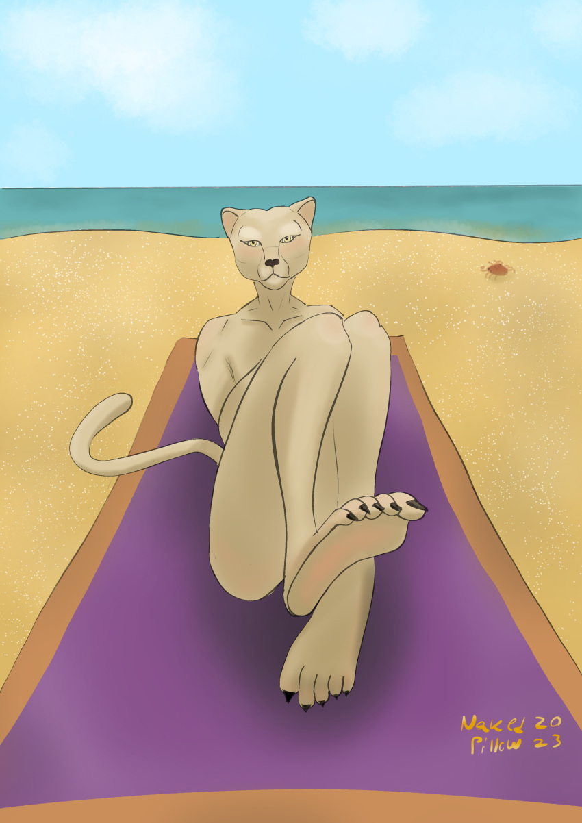 5_toes absurd_res anthro arthropod barefoot beach bethesda_softworks claws convenient_censorship crab crustacean decapoda feet felid female foot_focus hi_res khajiit khaki_fur looking_at_viewer malacostracan mammal marine nakedpillow plantigrade sand seaside shaded simple_background simple_coloring simple_shading sitting solo the_elder_scrolls toe_claws toes yellow_eyes