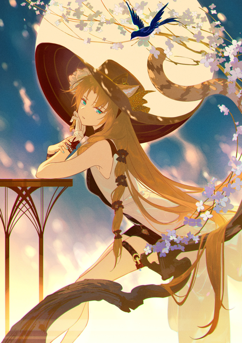 1girl absurdres animal_ears arknights bare_shoulders bird black_dress black_headwear blue_bird breasts brown_hair dress ears_through_headwear flower full_moon green_eyes hair_ornament hat head_rest highres long_hair looking_at_viewer lubusi moon night official_alternate_costume outdoors parted_lips purple_flower sitting small_breasts solo swire_(arknights) swire_the_elegant_wit_(arknights) table tail thigh_strap tiger_ears tiger_girl tiger_tail very_long_hair white_flower