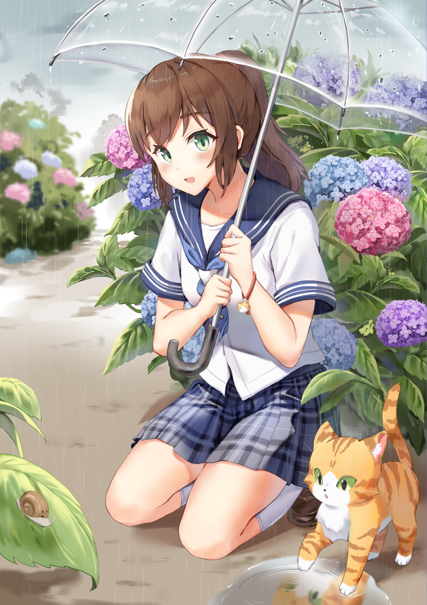 1girl absurdres blue_neckerchief blue_sailor_collar blue_skirt blurry blush bracelet brown_hair cat commentary depth_of_field flower green_eyes highres holding holding_umbrella hydrangea jewelry kneeling long_hair looking_at_viewer neckerchief open_mouth original outdoors plaid plaid_skirt plant pleated_skirt ponytail puddle rain sailor_collar same_(samefgo) school_uniform shirt short_sleeves skirt snail socks solo transparent transparent_umbrella umbrella white_shirt white_socks