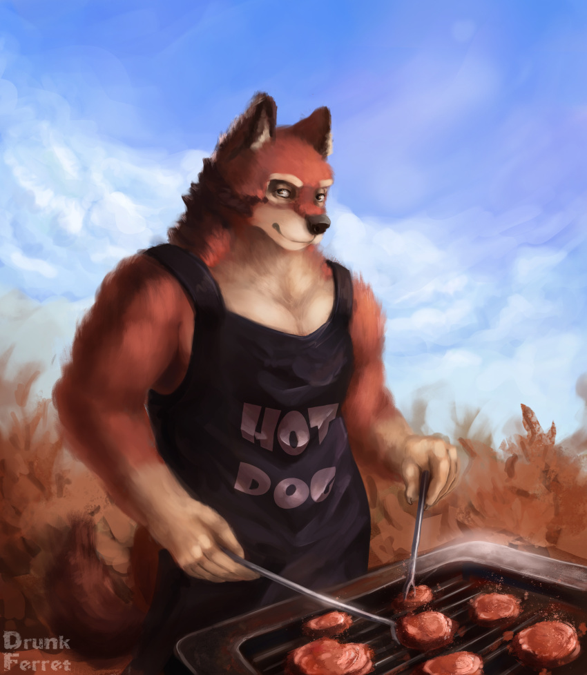 absurd_res anthro canid canine canis drunk_ferret echo_(game) echo_(series) echo_project fluffy food fur hi_res hot_dog leo_alvarez looking_at_viewer male mammal meat muscular muscular_anthro muscular_male pinafore red_body red_fur sky solo visual_novel wolf