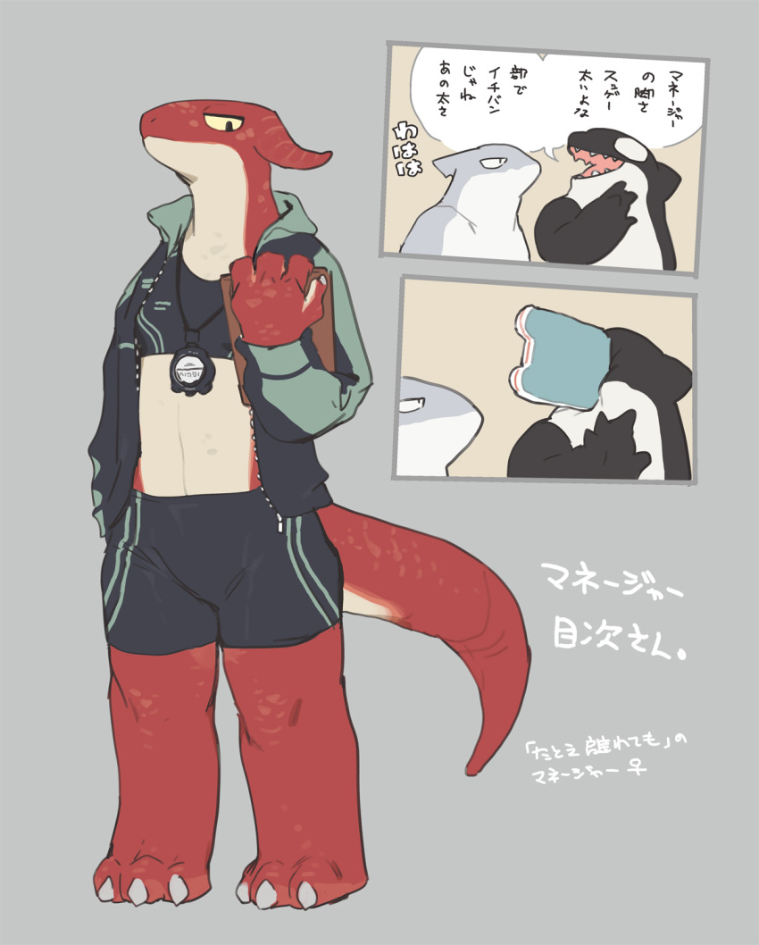 anthro bebebebebe cetacean clock clothing dolphin dragon female fish gag group hi_res japanese_text looking_at_viewer male mammal marine midriff no_wings oceanic_dolphin orca panel_gag shark solo_focus stopwatch swimwear tail text toothed_whale translation_request trio watch yellow_eyes