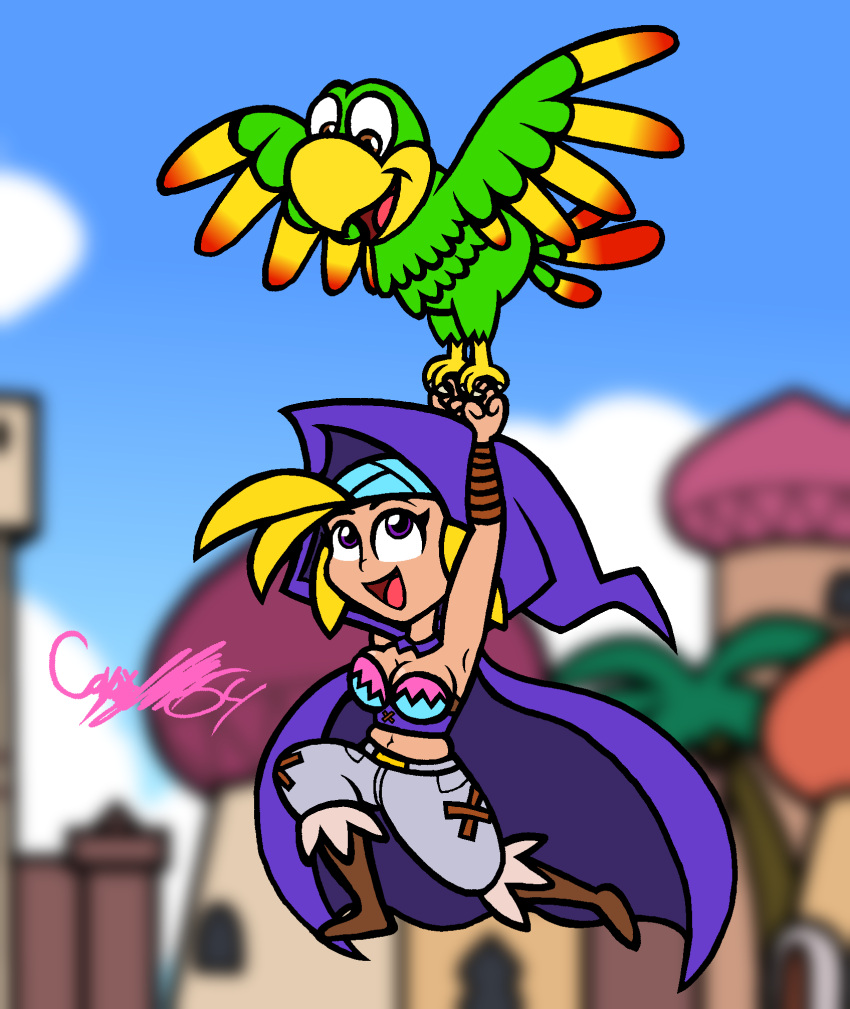 2022 avian beak building cape captainquack64 clothing cloud crossover day donkey_kong_(series) duo feathered_wings feathers female flying footwear hi_res human male mammal nintendo open_mouth open_smile palm_tree plant shantae_(series) signature sky_(shantae) smile squawk toony tree wayforward wings