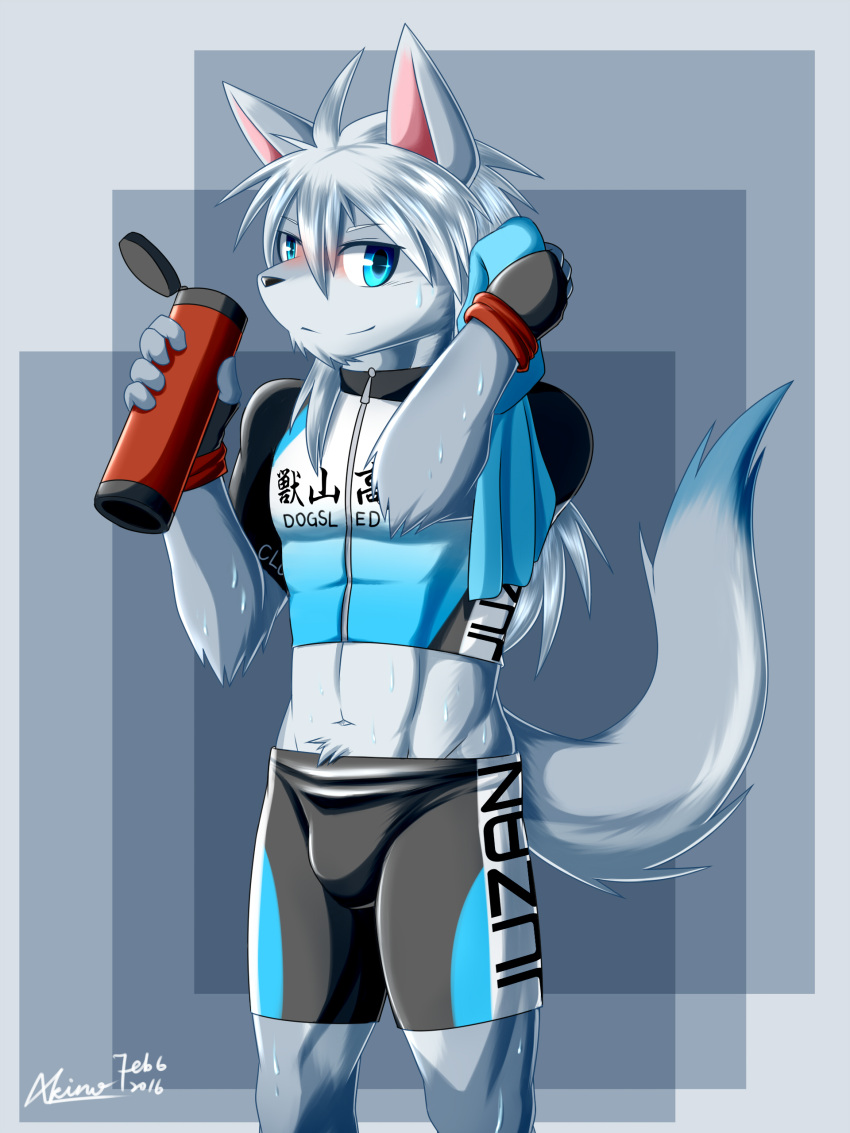 absurd_res akebono_yuminaga_(akino-kamihara) akino-kamihara anthro bodily_fluids bottle bulge canid canine clothing container exposed_belly hi_res male mammal muscular muscular_male navel simple_background slight_blush solo sweat tail teenager towel tracksuit water_bottle young