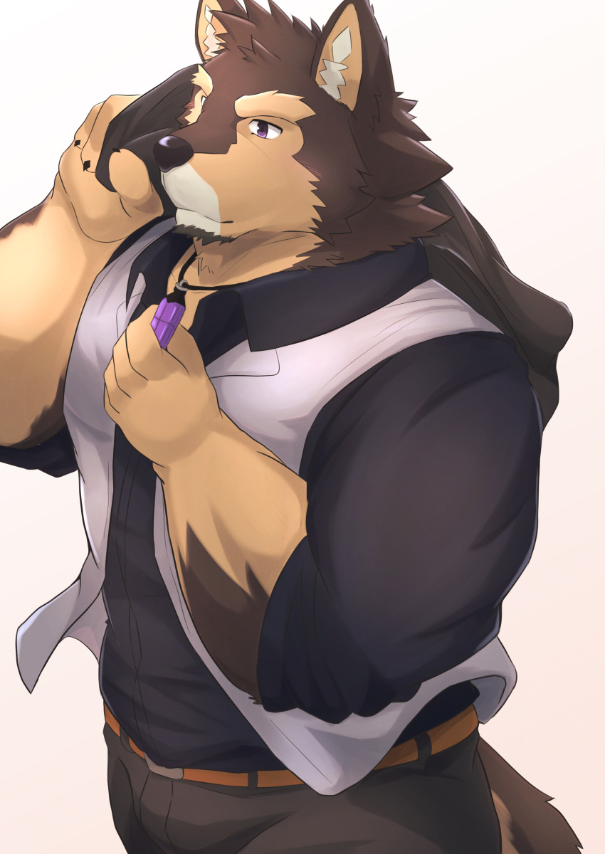 absurd_res anthro belt bottomwear brown_body brown_fur canid canine canis clothing crystal domestic_dog eyebrows fur hi_res jacket jewelry lifewonders live_a_hero male mammal muscular muscular_anthro muscular_male nazebesu_hobby necklace pants pubraseer solo thick_eyebrows topwear