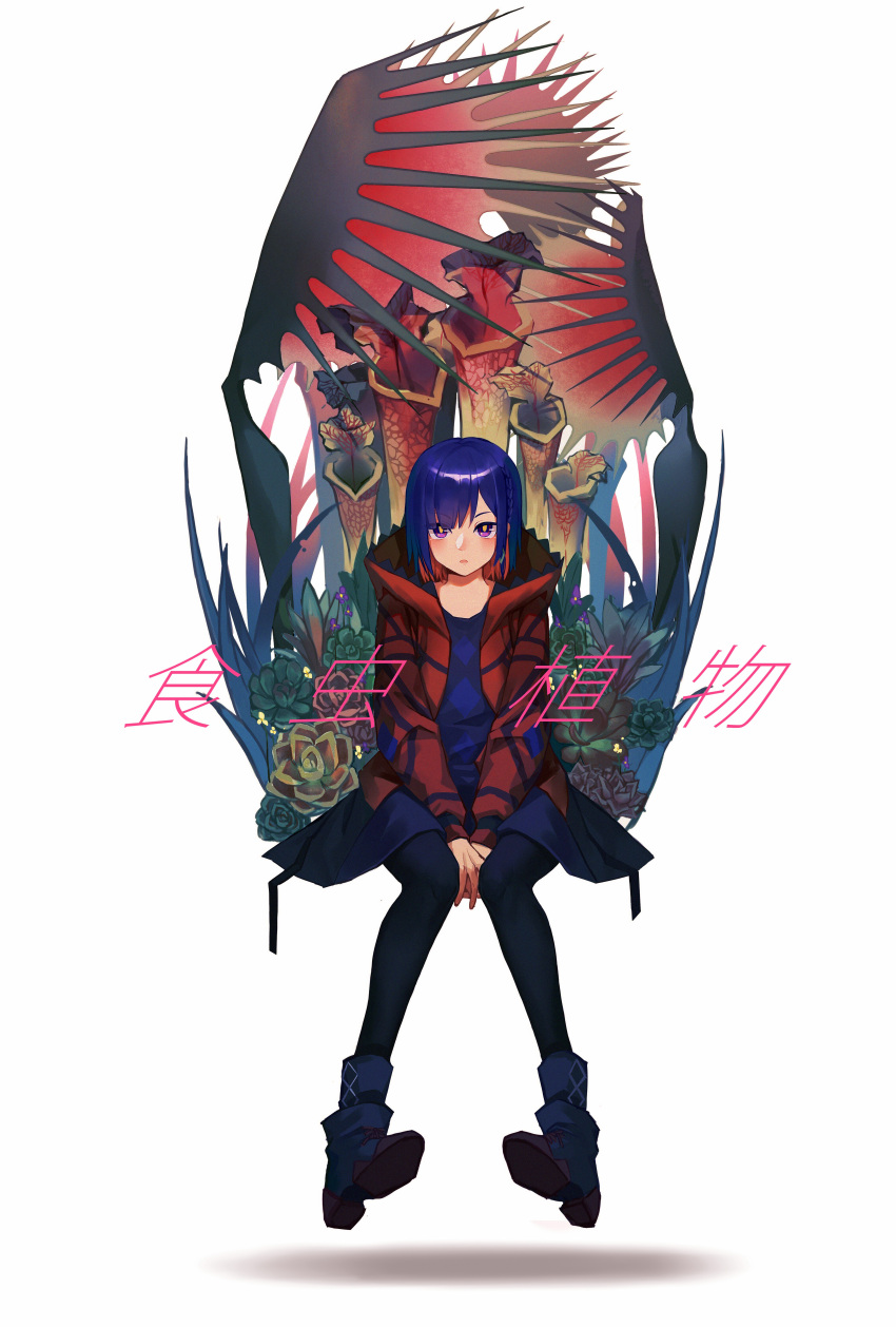 1girl absurdres arms_between_legs black_pantyhose blue_dress blue_hair boots colored_inner_hair commentary_request diamond_earrings dorsiflexion dress earrings featherzer0 full_body highres hood hood_down hooded_jacket invisible_chair jacket jewelry kamitsubaki_studio long_sleeves looking_at_viewer multicolored_eyes multicolored_hair open_clothes open_jacket open_mouth pantyhose pigeon-toed pitcher_plant plant plant_request purple_eyes red_eyes red_hair red_jacket rim_(kamitsubaki_studio) short_dress short_hair simple_background sitting solo song_name straight-on translation_request venus_flytrap virtual_youtuber white_background yellow_pupils