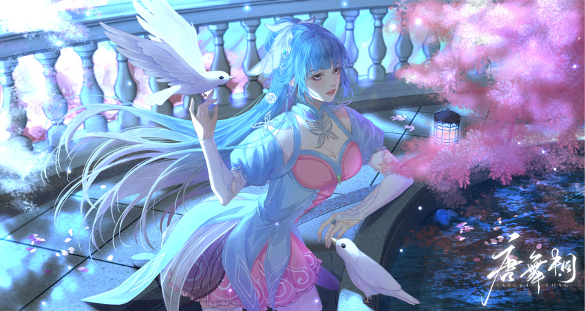 1girl absurdres artist_request bird blue_hair cherry_blossoms douluo_dalu earrings hair_bun hair_ornament highres jewelry lantern leaning_forward light_particles long_hair parted_lips purple_eyes railing second-party_source tang_wutong_(douluo_dalu) teeth two-tone_dress upper_body water