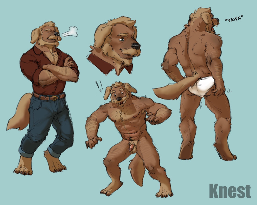 anthro balls barefoot blue_background blue_bottomwear blue_clothing blue_jeans blue_pants bottomwear briefs briefs_only brown_belt brown_body brown_fur butt canid canine canis clothed clothing crossed_arms denim denim_clothing domestic_dog eyes_closed facial_hair feet frustrated fur genitals hi_res humanoid_genitalia humanoid_penis jeans knest male mammal maroon_polo_shirt maroon_shirt mustache nude open_mouth pants penis polo_shirt red_clothing red_polo_shirt red_shirt red_topwear scratching_butt shirt simple_background solo teeth_showing tighty_whities tongue_showing topless topwear underwear underwear_only waking_up white_briefs white_clothing white_underwear yawn