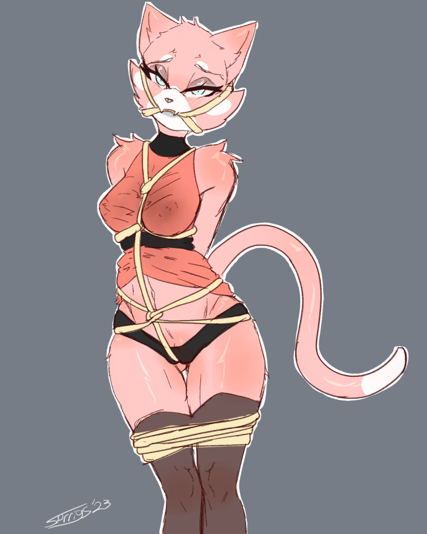 anthro bdsm bondage bound clothed clothing dress felid feline female hi_res legwear lifted_dress mammal panties restraints rope rope_bondage rope_harness shima_luan solo sprrigs- super_planet_dolan thigh_highs underwear