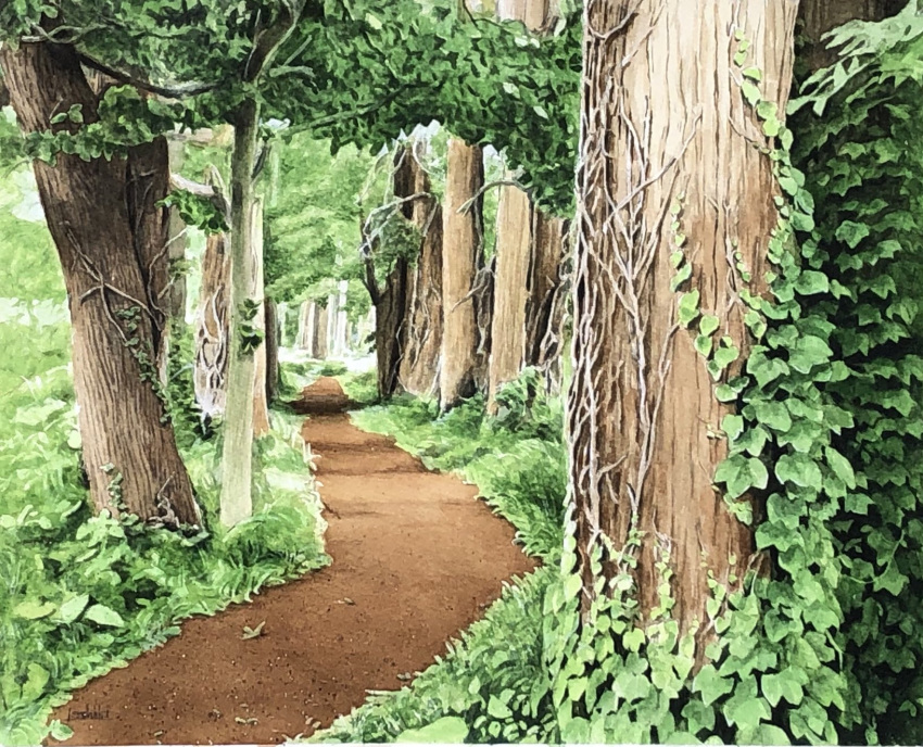 aomori_prefecture day forest grass highres nature no_humans original painting_(medium) path plant scenery shadow sunlight tall_grass toirom_pmxh traditional_media tree tree_shade vines watercolor_(medium) weeds