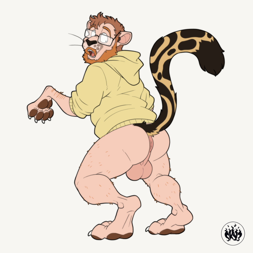 absurd_res anus backsack balls balls_focus big_balls body_hair butt cheetah claws clothed clothing demi_transformation digital_media_(artwork) eyewear felid feline fur genitals glasses hair hand_pawpads hi_res hoodie human human_to_feral kofi_(kofithechee) looking_back male mammal partially_clothed pawpads paws puffy_anus raised_tail rear_view simple_background sky3 solo species_transformation tail tongue topwear transformation
