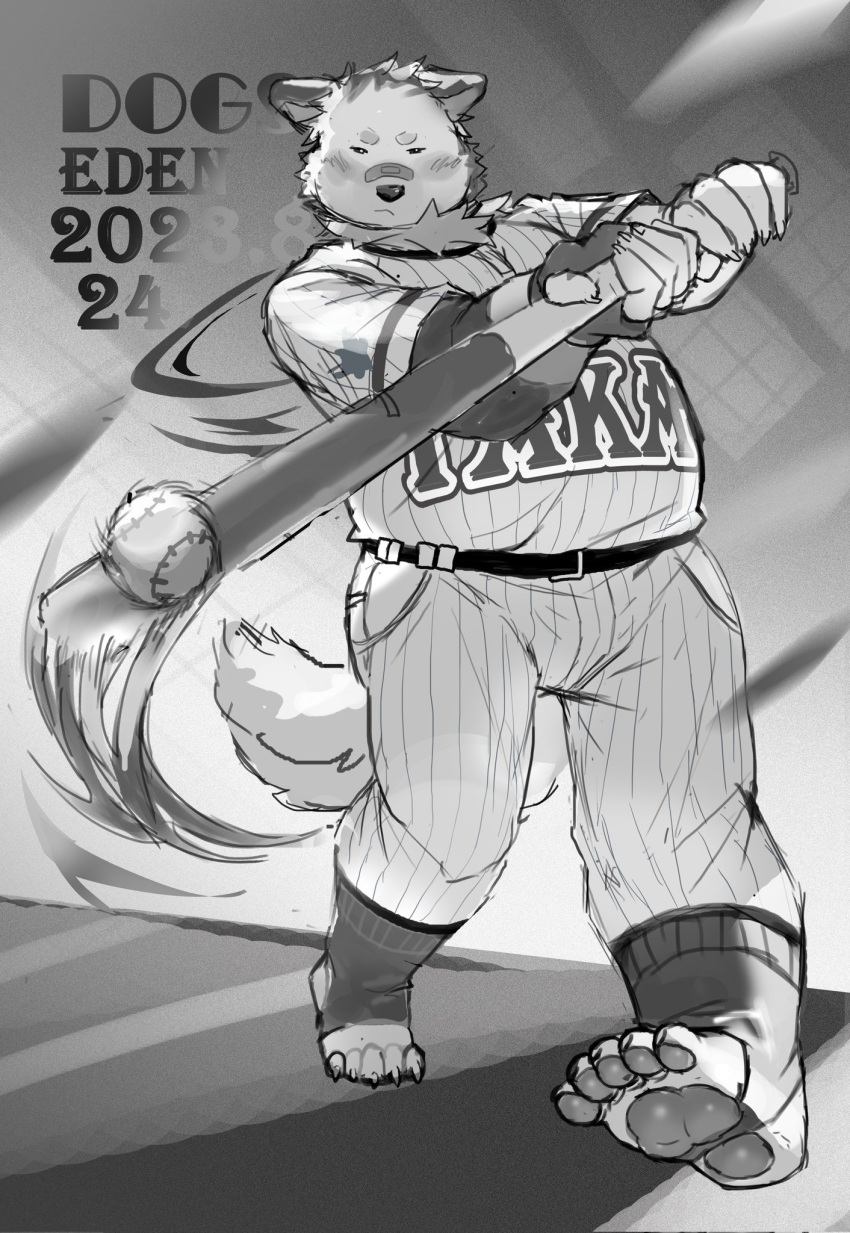 2023 anthro ball baseball_(ball) baseball_(sport) baseball_bat baseball_uniform bat_(object) belly bottomwear canid canine canis clothing dogseden domestic_dog hi_res kemono male mammal overweight overweight_male pants shirt solo sport sportswear text topwear uniform