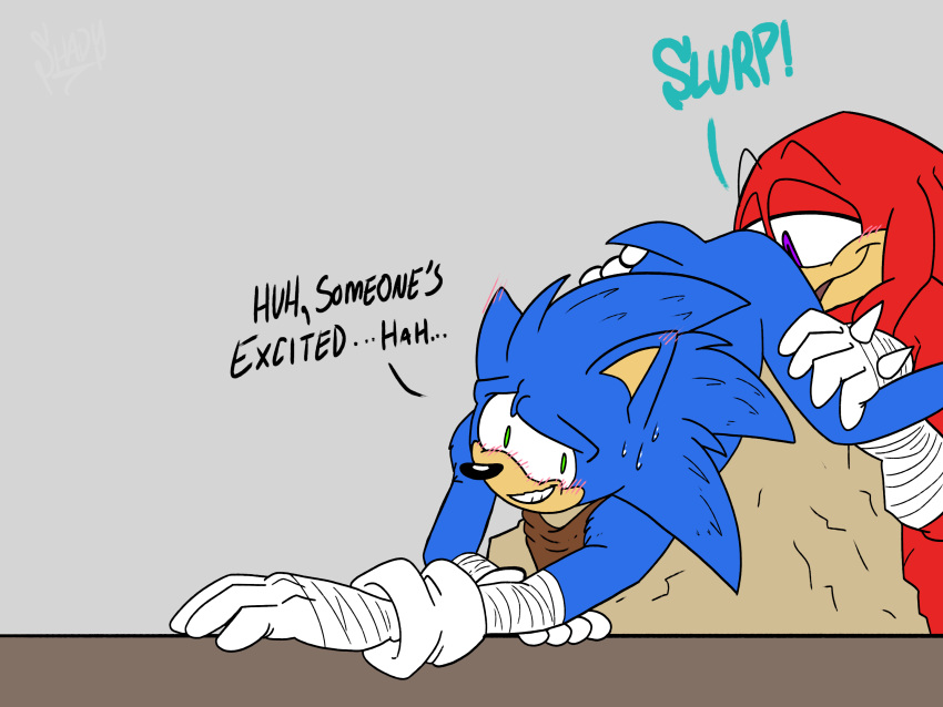 anal anthro ass_up duo echidna eulipotyphlan hedgehog hi_res knuckles_the_echidna male male/male mammal monotreme oral rimming rodent sega sex shadydaone sonic_boom sonic_the_hedgehog sonic_the_hedgehog_(series)