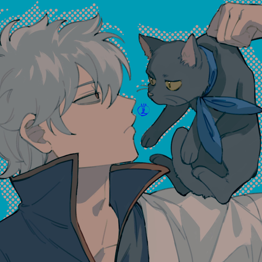 1boy animal black_cat blue_background blue_scarf cat closed_mouth colored_sclera gintama grey_hair hair_between_eyes highres holding holding_animal holding_cat male_focus migato orange_eyes sakata_gintoki scarf signature simple_background upper_body yellow_sclera