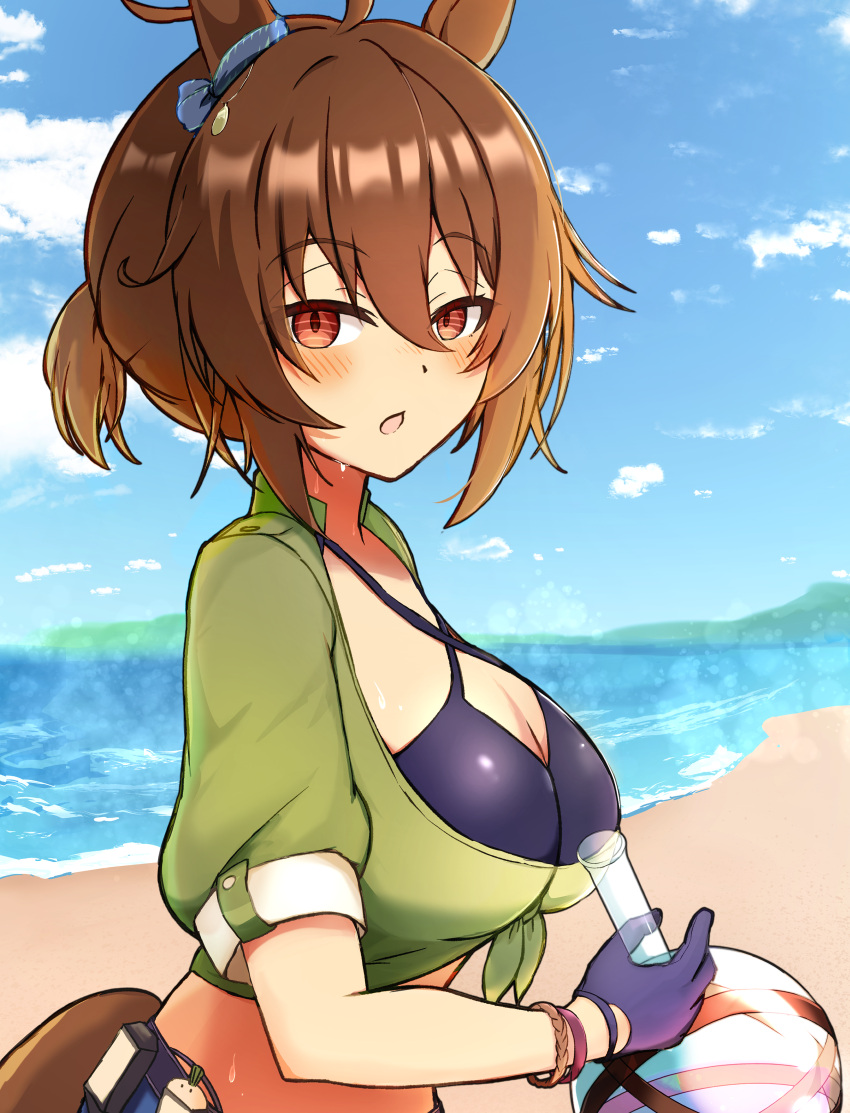 1girl absurdres agnes_tachyon_(lunatic_lab)_(umamusume) agnes_tachyon_(umamusume) ahoge animal_ears bangle beach bikini black_bikini black_gloves blush_stickers bracelet breasts brown_eyes brown_hair cleavage commentary criss-cross_halter ear_ornament flask gloves green_jacket hair_between_eyes halterneck highres holding holding_flask jacket jewelry looking_at_viewer messy_hair midriff ocean official_alternate_costume official_alternate_hairstyle outdoors round-bottom_flask short_hair sideways sky solo sudachiminorida summer's_sunlight_fades_to_blue_(umamusume) sweat swimsuit tail tied_jacket umamusume upper_body