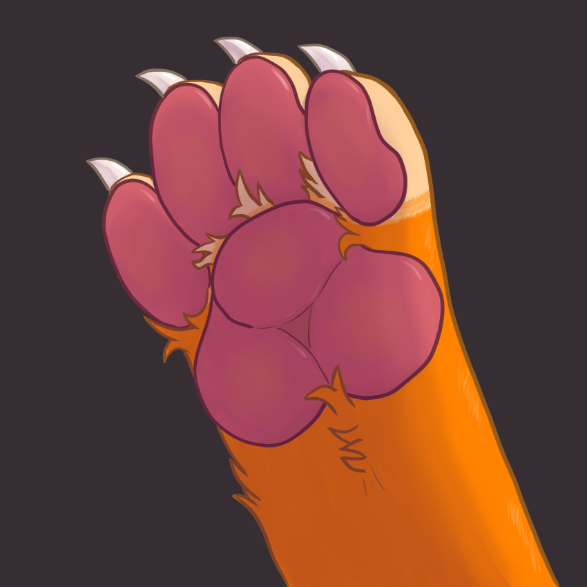 4_toes absurd_res ambiguous_gender animal_humanoid anthro barefoot cat_humanoid colored feet felid felid_humanoid feline feline_humanoid foot_fetish foot_focus hi_res hindpaw humanoid mammal mammal_humanoid pawpads paws pink_pawpads shaded skye_knightingale_(artist) solo solo_focus toes