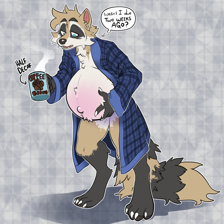 anthro bathrobe beverage clawed_feet clawed_fingers clothed clothing coffee coffee_mug digitigrade ear_piercing hi_res holding_belly linea_nigra male mammal navel open_clothing open_robe outie_navel pattern_background piercing plaid pregnant pregnant_male procyonid raccoon robe rottenrigby ruffled_fur simple_background solo steam tired_eyes tired_look