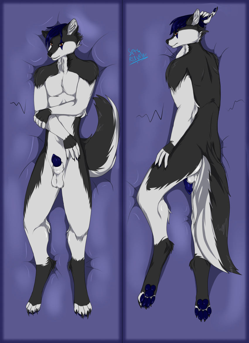 2023 absurd_res animal_genitalia anthro balls black_body black_fur black_nose blue_hair blue_penis blue_toes body_hair body_pillow brown_eyes butt canid canine canis cel_shading claws dakimakura_design dakimakura_pillow dakimakura_pose dakimakura_style digital_drawing_(artwork) digital_media_(artwork) digitigrade ears_up eye_markings fluffy fluffy_tail full-length_portrait fur genitals hair hairy_balls half-erect hi_res lean_muscle looking_at_viewer looking_back male mammal markings nude nude_male penis pierce_(sethraven4) pillow portrait raised_tail sethraven4 shaded sheath signature solo tail teeth white_body white_fur wolf