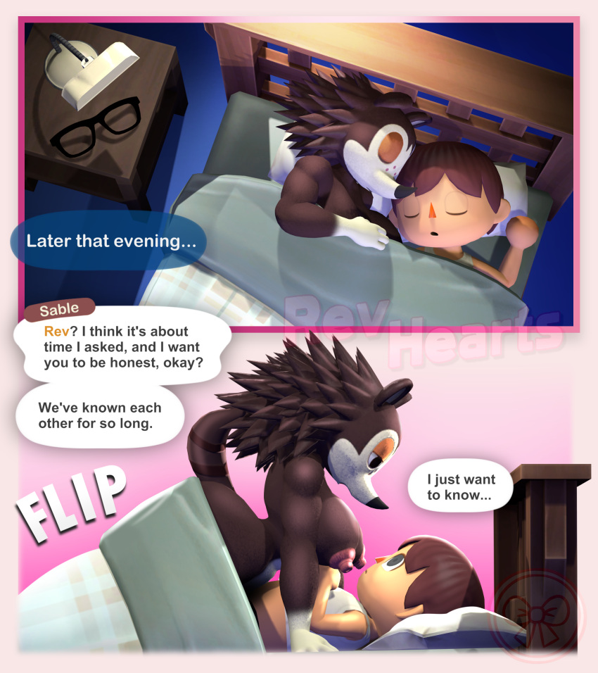 animal_crossing anthro bed breasts brown_body brown_fur brown_hair clothed clothing comic duo english_text eulipotyphlan eyewear fur furniture glasses gynomorph hair hedgehog hi_res human intersex intersex/male lamp lying lying_on_bed male mammal nightstand nintendo nipples nude on_back on_bed on_bottom on_side on_top partially_clothed pillow revhearts sable_able shirt speech_bubble tank_top text topwear under_covers watermark