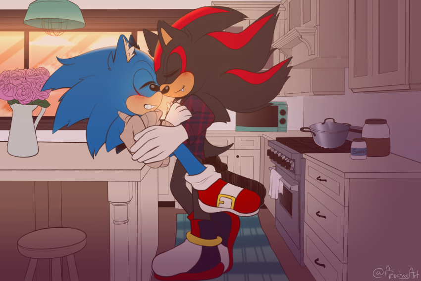 absurd_res anthro anuchasart blush cute_expression duo embrace eulipotyphlan fluffy hedgehog hi_res hug kitchen love male male/male mammal romantic romantic_couple sega shadow_the_hedgehog sonic_the_hedgehog sonic_the_hedgehog_(series) sunset