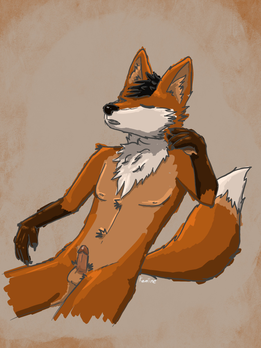 absurd_res anthro balls canid canine fluffy fox genitals hi_res humanoid_genitalia kentine male mammal nude penis red_fox small_balls small_penis solo