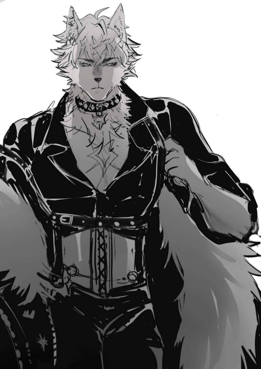 1boy absurdres animal_ears bara bare_pectorals collar corset darias_silvah furry furry_male highres kashi_kung looking_at_viewer male_focus monochrome pants partially_unbuttoned pectorals pixela_destiny pixela_project shirt white_background wolf_boy wolf_ears