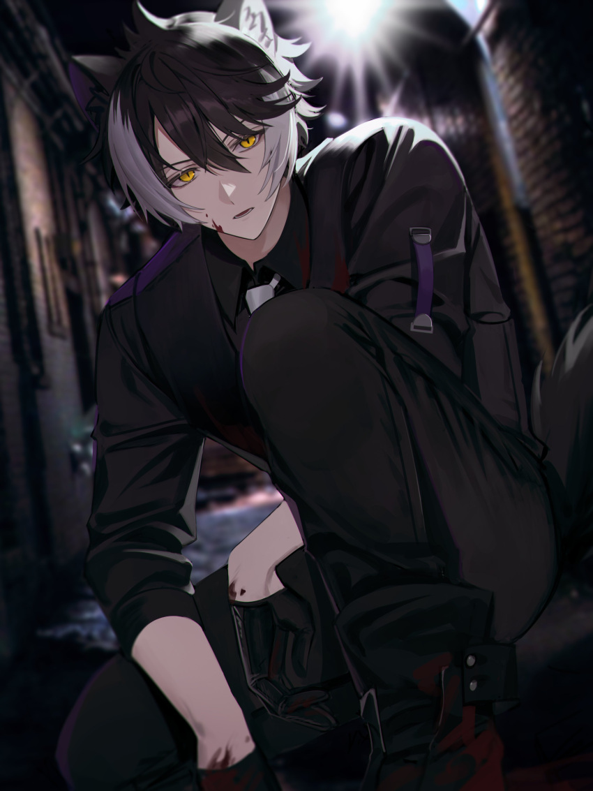 1boy absurdres alley animal_ears black_footwear black_gloves black_hair black_pants blood blood_on_face blood_on_shoes blood_splatter chap_yun expressionless gloves glowing glowing_eyes hair_between_eyes half_gloves highres holostars jackal_boy jackal_ears jackal_tail kageyama_shien looking_at_viewer male_focus multicolored_hair night pants parted_lips short_hair slit_pupils solo squatting two-tone_hair virtual_youtuber white_hair yellow_eyes