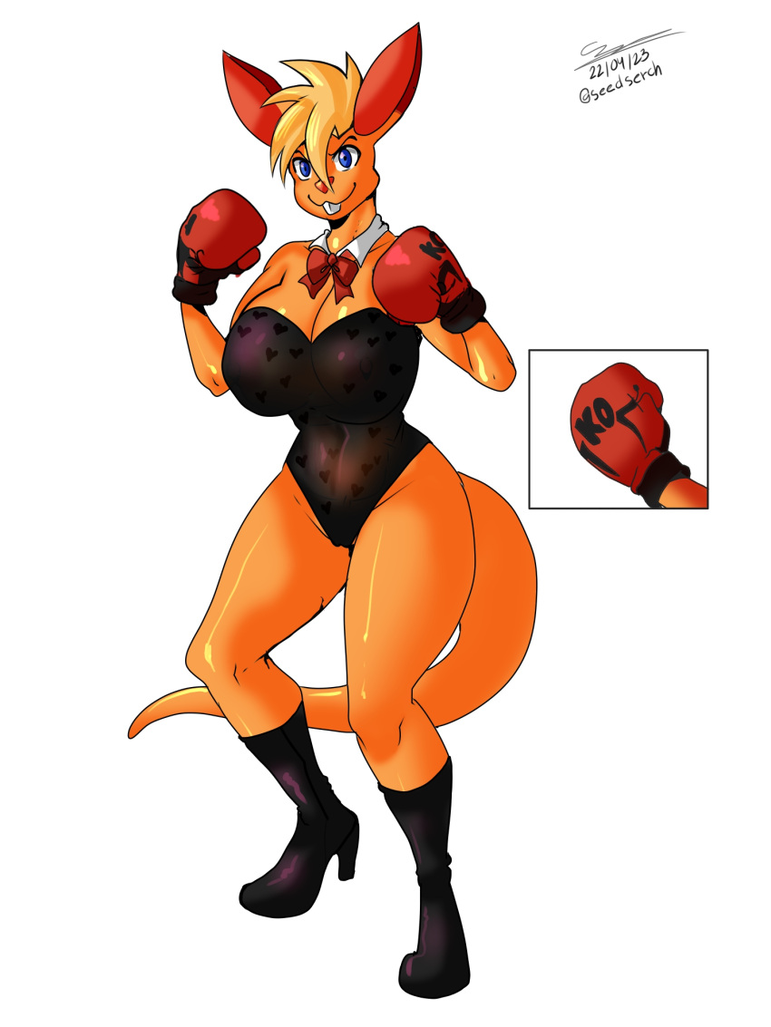 3:4 anthro boxing boxing_gloves bunny_costume clothing costume female footwear handwear hi_res high_heels kangaroo ko_(fabio_paulino) macropod mammal marsupial mastersaruwatari sport