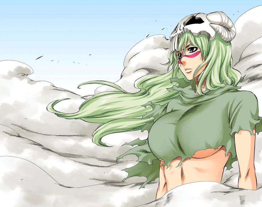 absurdres bleach breasts green_hair highres hollow_(bleach) large_breasts long_hair nelliel_tu_odelschwanck shirt skull smoke solo torn_clothes torn_shirt underboob