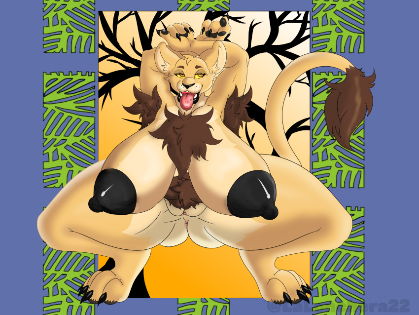 absurd_res african anthro areola armpit_fetish armpit_hair big_areola big_breasts black_areola black_nipples body_hair breasts chest_hair chest_tuft digitigrade ear_piercing felid female hi_res huge_breasts hyper hyper_breasts lalonchera22 lion lips looking_at_viewer mammal mature_female nipples nude pantherine piercing presenting pubes pubes_exposed solo tail tail_tuft thick_lips thick_thighs tongue tongue_out tuft wide_hips