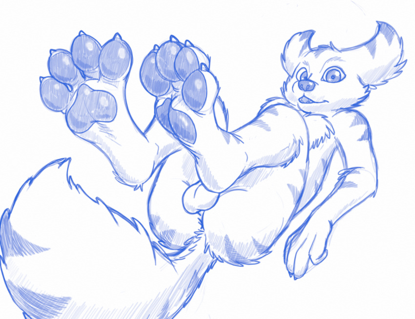 anthro anus balls blizzard_entertainment butt canid claws feet foot_fetish genitals hindpaw legs_in_air looking_at_viewer male mammal midnite paws presenting presenting_hindquarters sketch sketchy soles solo spread_toes supplepaws toe_claws toes vulpera warcraft