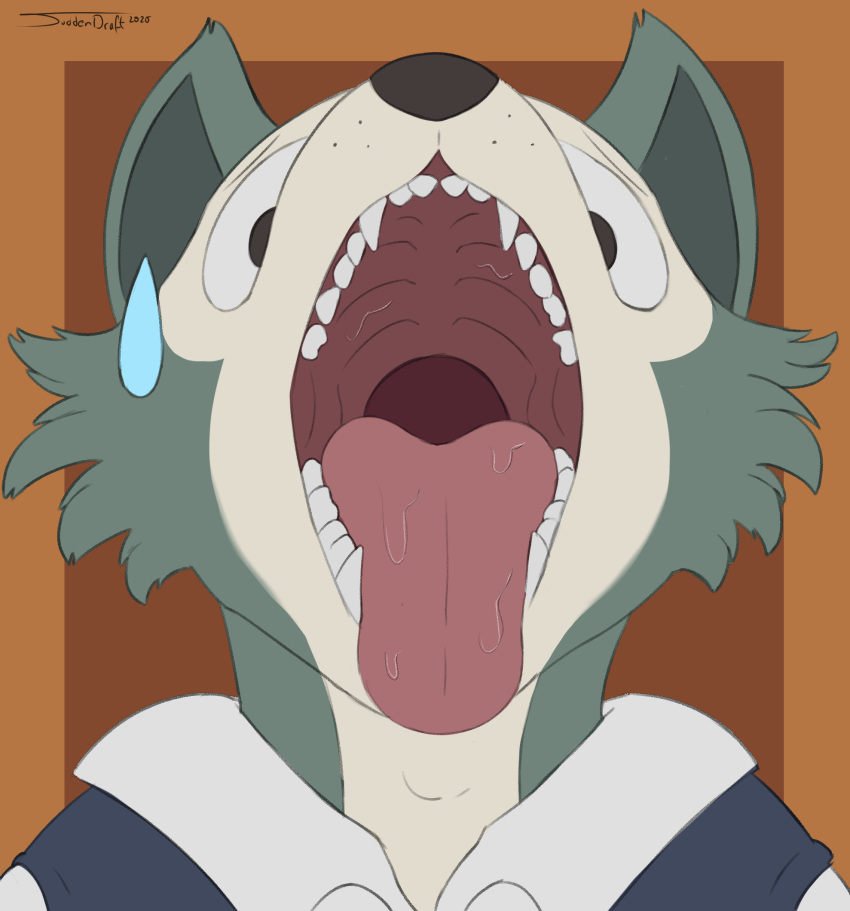 2020 adam's_apple anthro beastars bodily_fluids canid canine canis digital_media_(artwork) fur gaping_mouth grey_body grey_fur hi_res legoshi_(beastars) male mammal open_mouth orange_background saliva saliva_on_tongue simple_background solo suddendraft sweat sweatdrop teeth tongue tongue_out wolf