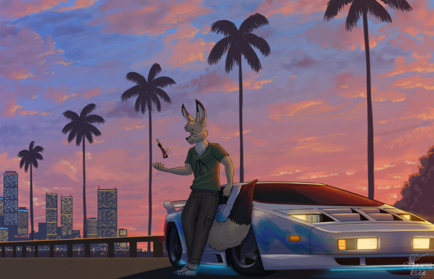 2022 5_fingers anthro artist_logo black_eyebrows black_nose blue_sky bottomwear brown_body brown_fur canid canine car car_keys cheek_tuft chest_tuft clothing cloudscape coutnershade_body detailed_background dipstick_ears dipstick_tail eyebrows facial_tuft fennec fingers footwear fox fur gradient_sky green_clothing green_shirt green_t-shirt green_topwear grey_bottomwear grey_clothing grey_pants half-closed_eyes head_tuft key leaning_on_vehicle logo looking_at_viewer male mammal markings multicolored_ears narrowed_eyes neon_lights notched_ear one_eye_obstructed orange_clouds orange_sky palm_tree pants plant plantigrade pupils sammfeatblueheart shaded shadow shirt shoes shrub signature sky skyline sneakers solo sunset t-shirt tail tail_markings tan_body tan_fur topwear tree tuft vector_w8 vehicle white_body white_clothing white_footwear white_fur white_inner_ear white_pupils white_shoes