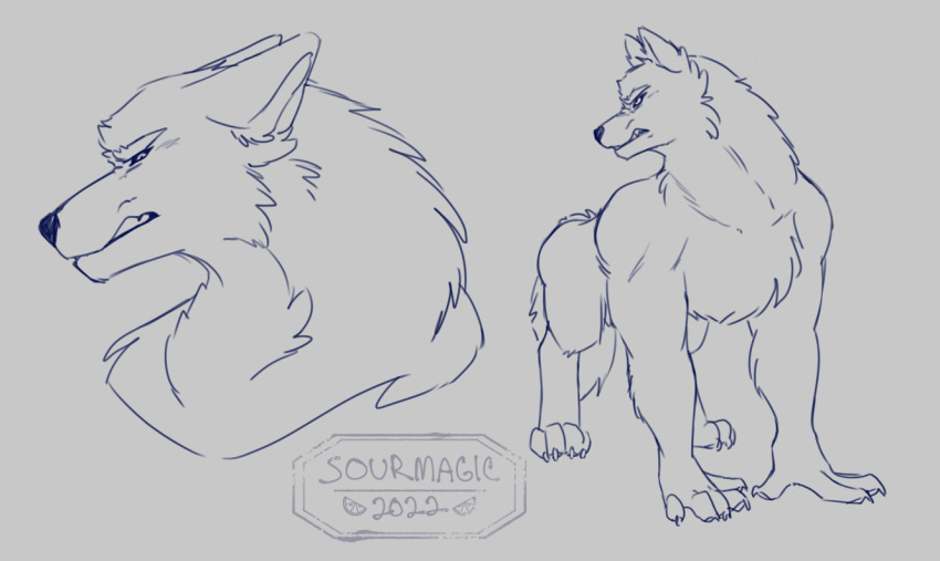 all_fours anthro canid canine canis claws ears_back feral fluffy growling male mammal paws pivoted_ears sketch snarling solo sourmagic tail_down wolf