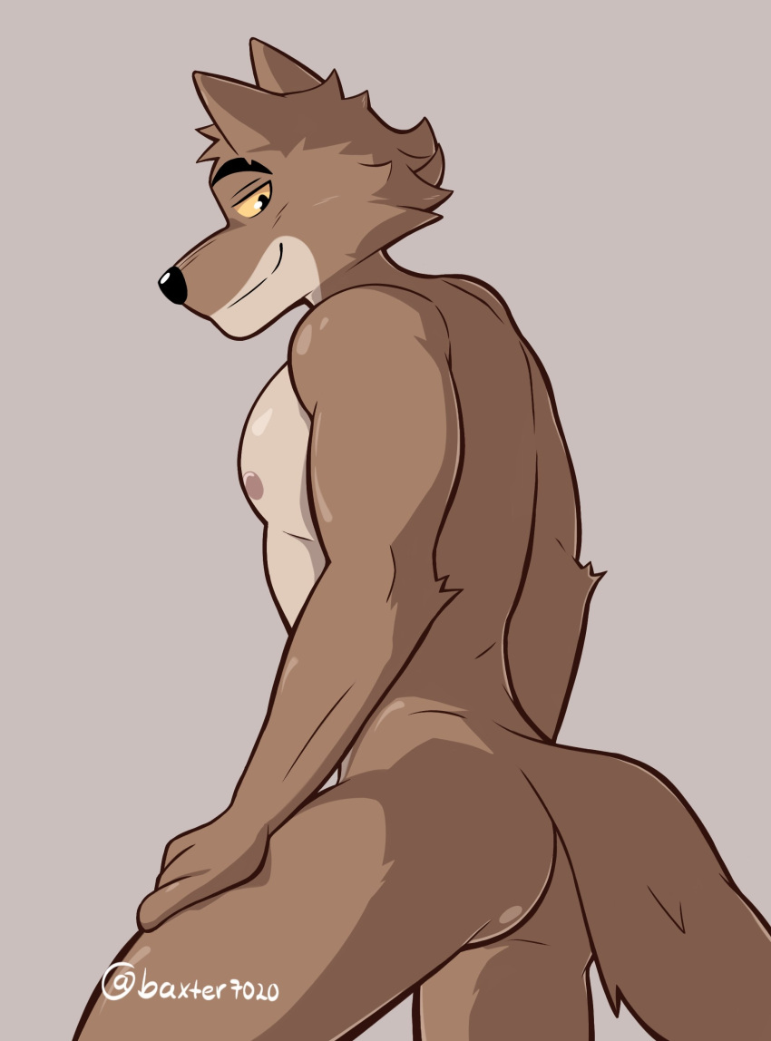 2022 absurd_res anthro areola artist_name athletic athletic_anthro athletic_male baxter7020 bedroom_eyes black_eyes brown_body brown_fur butt canid canine canis digital_drawing_(artwork) digital_media_(artwork) dreamworks fingers fluffy fluffy_tail fur grey_background hand_on_leg hand_on_own_leg hand_on_own_thigh hand_on_thigh hi_res looking_at_viewer looking_back looking_back_at_viewer male mammal mr._wolf_(the_bad_guys) multicolored_body multicolored_fur narrowed_eyes nipples nude pecs seductive signature simple_background smile snout solo tail tan_body tan_fur the_bad_guys two_tone_body two_tone_fur wolf yellow_sclera