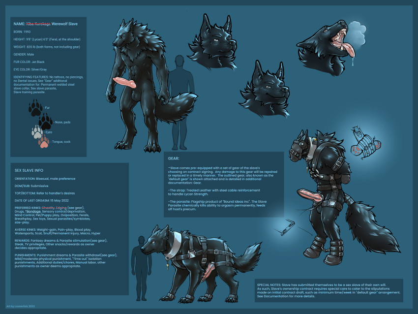 absurd_res anthro aphrodisiac bdsm bondage bondage_gear bondage_harness bound canid canine canis chastity_device collar cuff_(restraint) dire_wolf drugs earmuffs edging explicitly_stated_consent feral gimp_mask hi_res key kiba_kurokage loonertick lycanthropy male mammal mask mitts model_sheet parasite penetration permanent permanent_chastity_device restraints shock_collar slave solo steel_collar tail tail_wrapped tail_wrapping tail_wraps urethral urethral_penetration were werecanid werecanine werewolf wraps