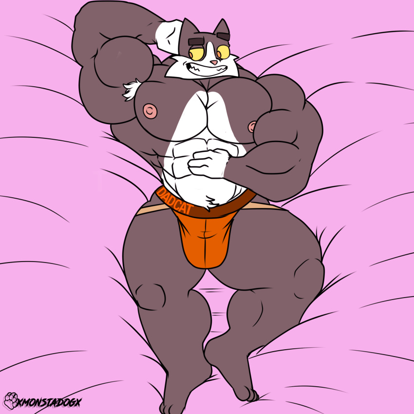 clothing comics) domestic_cat felid feline felis hi_res jockstrap joel_(disambiguation) litterbox_comics male male/male mammal monstadog musclegut muscular muscular_male solo underwear