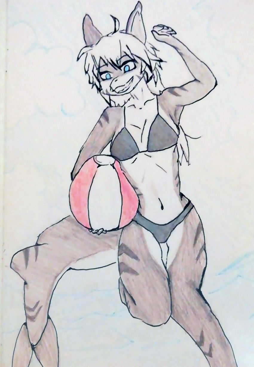 absurd_res anthro ball belly blue_eyes clothing facial_markings female fish grey_body hair head_markings hi_res marine markings navel on_one_leg requiem_shark shark shark_tail smile solo standing swimwear tail tiger_shark traditional_media_(artwork) volleyball_(ball) white_body white_hair zatlea