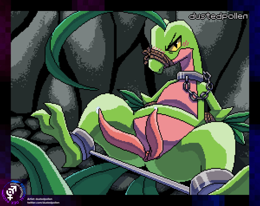 2_penises 2d_animation animal_genitalia animal_penis animated anus bdsm blinking blush bodily_fluids bondage bondage_gear bound chain chained cloaca cloacal_penis detailed_background digital_media_(artwork) dustedpollen erection feral generation_3_pokemon genital_fluids genitals grovyle grovyle_the_thief hemipenes hi_res looking_at_viewer loop lying male multi_genitalia multi_penis muzzle_(object) muzzled nintendo nude on_back penis pixel_(artwork) pixel_animation pokemon pokemon_(species) pokemon_mystery_dungeon precum precum_on_penis restrained restraints rope rope_muzzle short_playtime solo spread_legs spreader_bar spreading tail tapering_penis throbbing throbbing_penis twitching wrists_tied