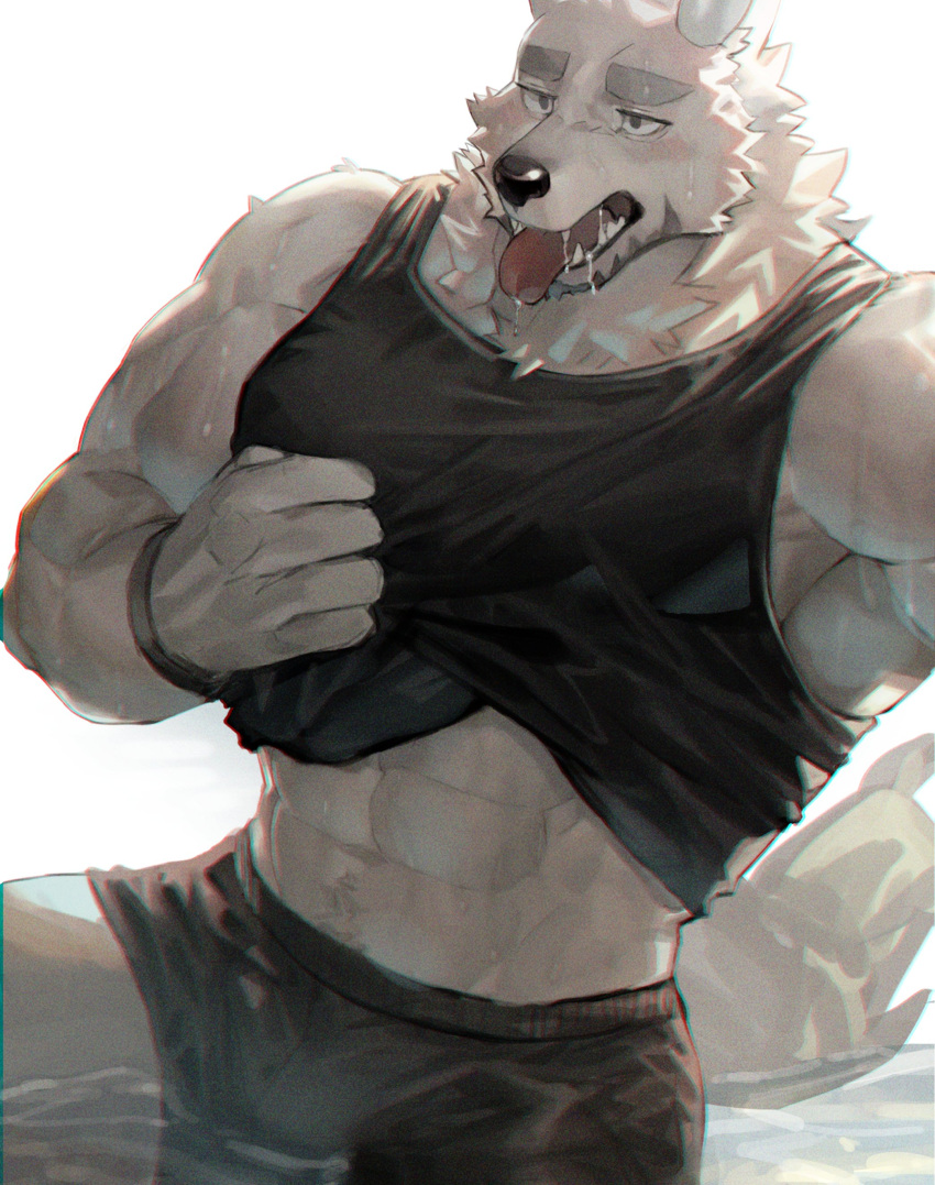 1boy abs absurdres beard black_shorts black_tank_top blush bulge facial_hair feet_out_of_frame furry furry_male highres hot huge_eyebrows lifted_by_self male_focus navel navel_hair neck_fur neumo original pectorals saliva short_hair short_shorts shorts sidepec solo stomach strongman_waist tank_top thick_thighs thighs tongue tongue_out white_fur wolf_boy