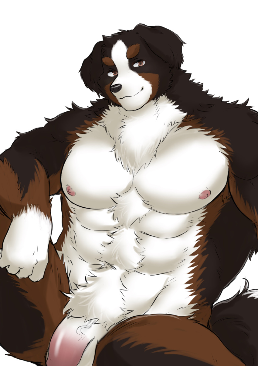 2023 abs absurd_res anthro balls biceps biped black_nose brown_body brown_ears brown_eyes brown_fur brown_pupils brown_tail canid canine canis cheek_tuft chest_tuft colored countershade_fur countershade_neck countershade_torso countershading crotch_tuft digital_media_(artwork) domestic_dog facial_tuft fingers flaccid floppy_ears fluffy front_view fur genitals gloves_(marking) half-length_portrait hi_res humanoid_genitalia humanoid_hands humanoid_penis ioenami88 kemono looking_at_viewer male mammal markings molosser monotone_ears mountain_dog multi_tone_fur multicolored_body multicolored_fur multicolored_tail muscular muscular_anthro muscular_male neck_tuft nipples nude pecs penis pink_nipples pinup portrait pose pupils saint_bernard shaded short_snout simple_background sitting smile snout solo spread_legs spreading tail tuft two_tone_tail white_background white_body white_countershading white_fur white_tail