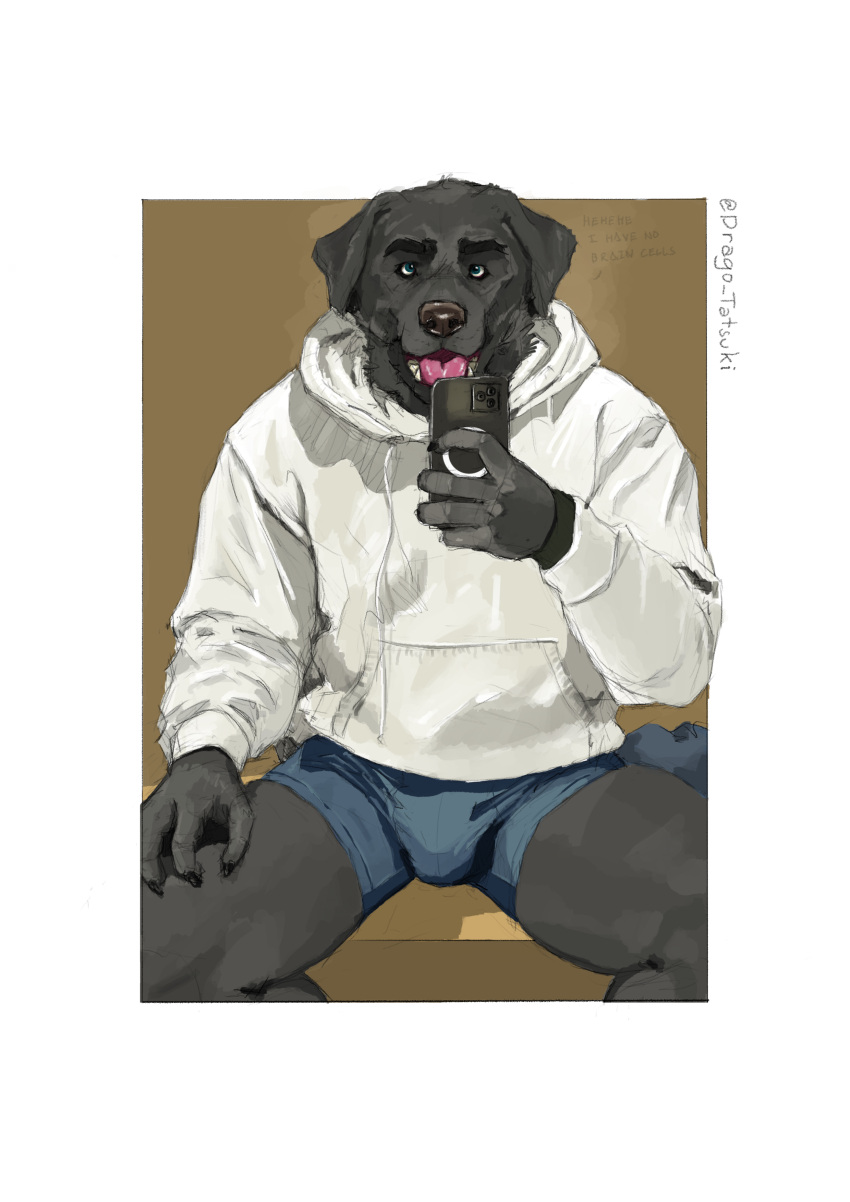 absurd_res anthro apple_inc. bird_dog boxer_briefs boxers_(clothing) bulge canid canine canis cellphone clothed clothing domestic_dog drago_tatsuki hi_res humanoid hunting_dog iphone jacket labrador male mammal phone retriever selfie simple_background smartphone smile solo topwear underwear