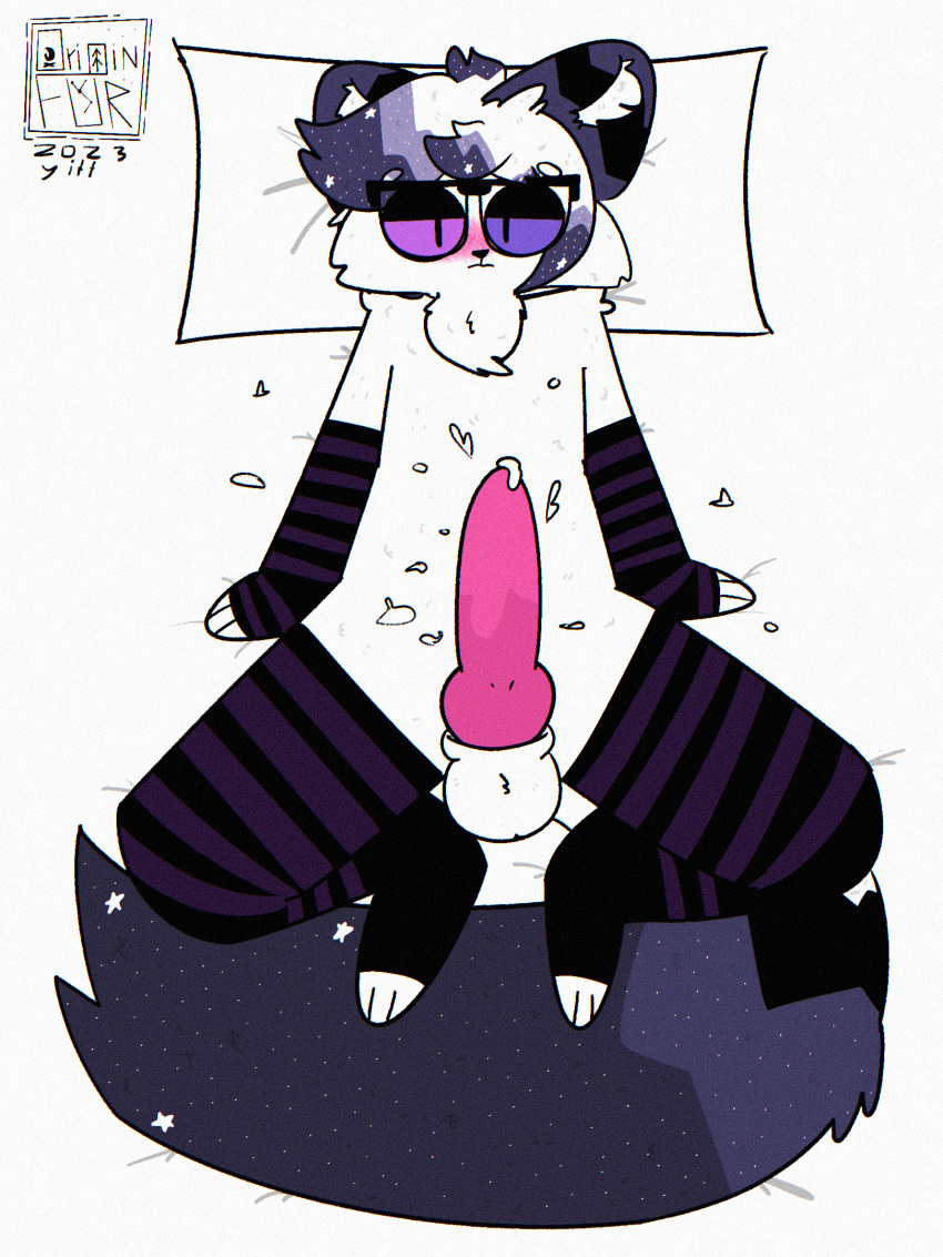 arctic_fox arm_warmers armwear balls bed big_penis big_tail blush bodily_fluids canid canine clothing cum cum_on_bed cum_on_penis eyewear fluffy fluffy_tail fox furniture genital_fluids genitals girly glasses hi_res knot leg_warmers legwear male mammal originfurtkm penis solo star stormdax tail